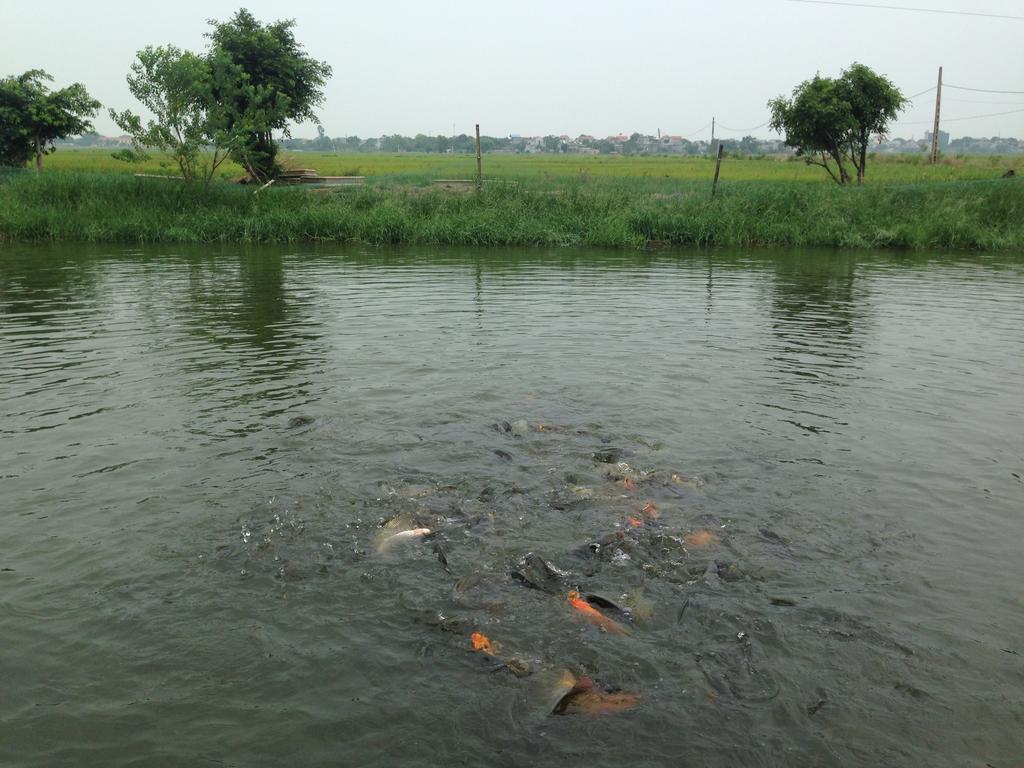 Tam Coc Homestay Ninh Bình Exteriör bild