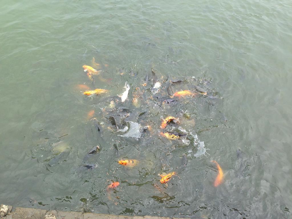 Tam Coc Homestay Ninh Bình Exteriör bild