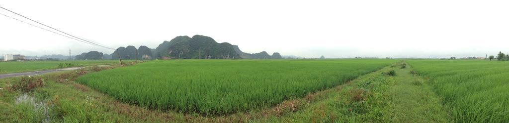 Tam Coc Homestay Ninh Bình Exteriör bild