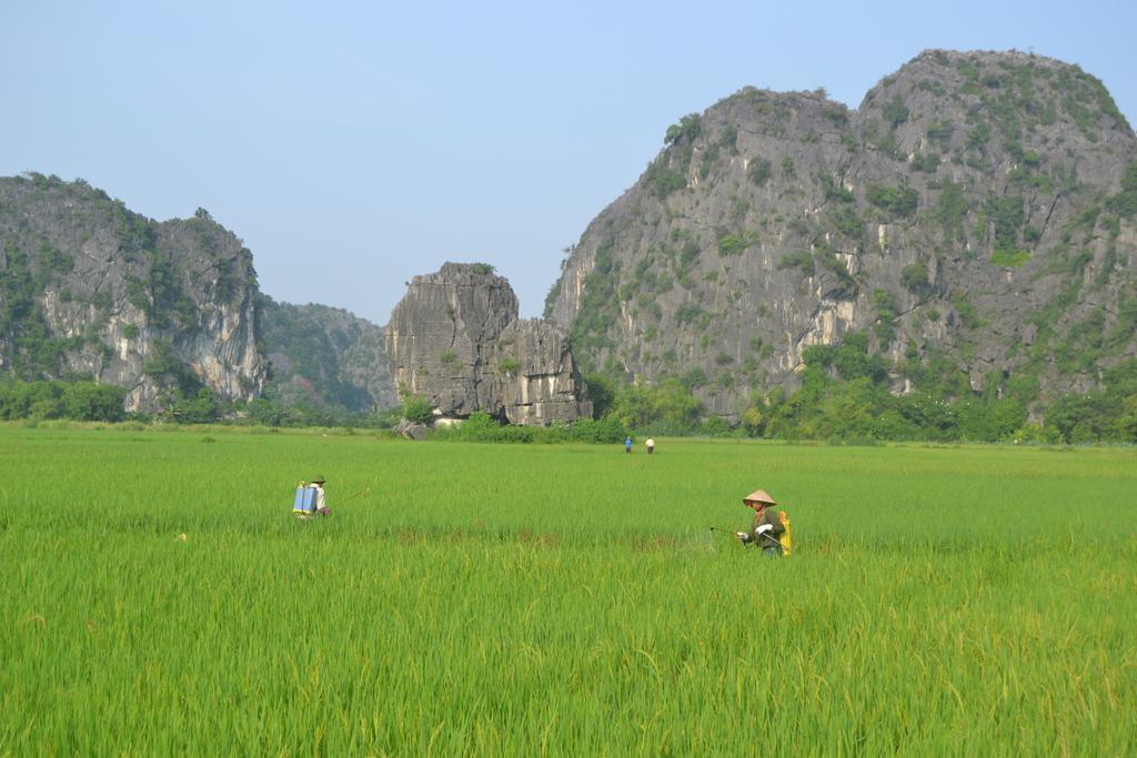 Tam Coc Homestay Ninh Bình Exteriör bild