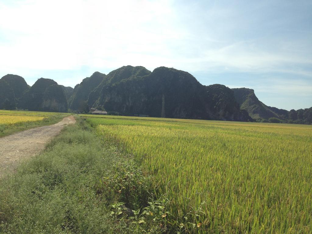 Tam Coc Homestay Ninh Bình Exteriör bild